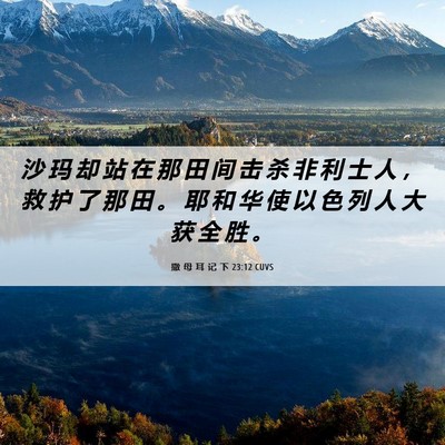 Picture 06 - 撒 母 耳 记 下 23:12 CUVS - 沙 玛 却 站 在 那 田 间 击 杀 非 利 - Bible Verse Picture