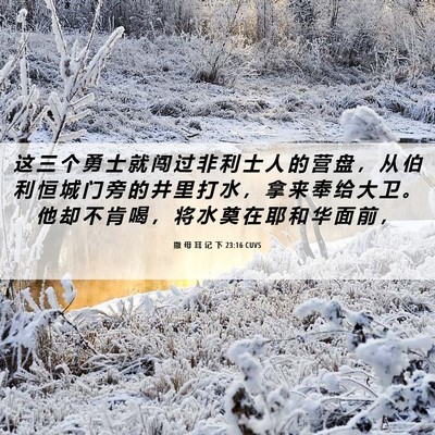 Picture 06 - 撒 母 耳 记 下 23:16 CUVS - 这 三 个 勇 士 就 闯 过 非 利 士 人 - Bible Verse Picture