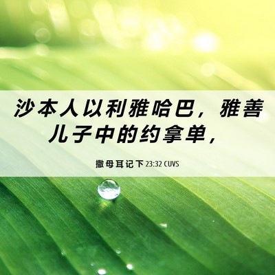 Picture 06 - 撒 母 耳 记 下 23:32 CUVS - 沙 本 人 以 利 雅 哈 巴 ， 雅 善 儿 - Bible Verse Picture