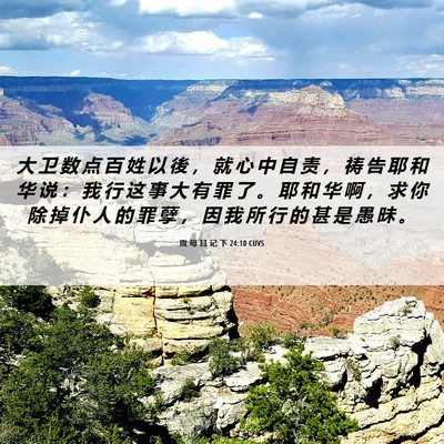 Picture 06 - 撒 母 耳 记 下 24:10 CUVS - 大 卫 数 点 百 姓 以 後 ， 就 心 中 - Bible Verse Picture