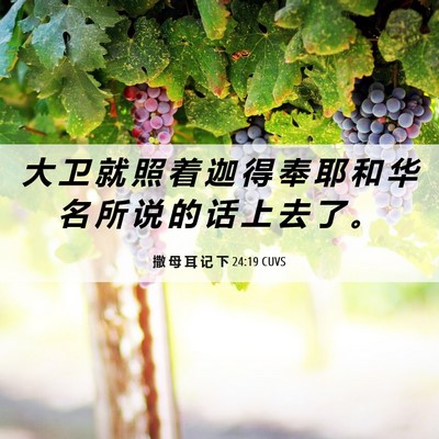Picture 06 - 撒 母 耳 记 下 24:19 CUVS - 大 卫 就 照 着 迦 得 奉 耶 和 华 名 - Bible Verse Picture