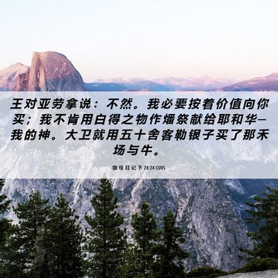 Picture 06 - 撒 母 耳 记 下 24:24 CUVS - 王 对 亚 劳 拿 说 ： 不 然 。 我 必 - Bible Verse Picture