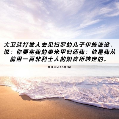 Picture 06 - 撒 母 耳 记 下 3:14 CUVS - 大 卫 就 打 发 人 去 见 扫 罗 的 儿 - Bible Verse Picture