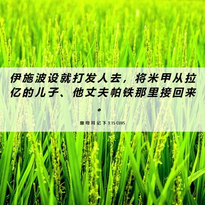 Picture 06 - 撒 母 耳 记 下 3:15 CUVS - 伊 施 波 设 就 打 发 人 去 ， 将 米 - Bible Verse Picture