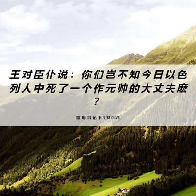 Picture 06 - 撒 母 耳 记 下 3:38 CUVS - 王 对 臣 仆 说 ： 你 们 岂 不 知 今 - Bible Verse Picture