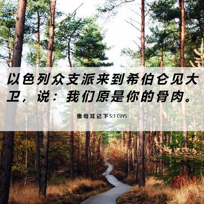Picture 06 - 撒 母 耳 记 下 5:1 CUVS - 以 色 列 众 支 派 来 到 希 伯 仑 见 - Bible Verse Picture