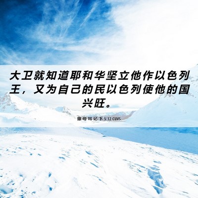 Picture 06 - 撒 母 耳 记 下 5:12 CUVS - 大 卫 就 知 道 耶 和 华 坚 立 他 作 - Bible Verse Picture