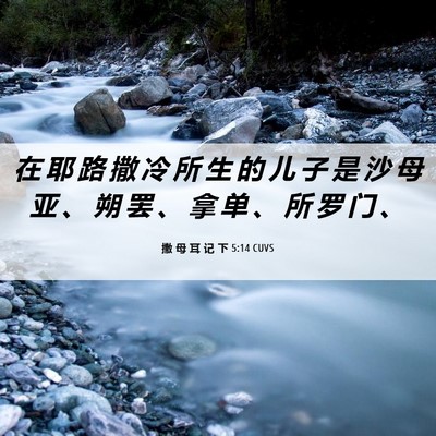 Picture 06 - 撒 母 耳 记 下 5:14 CUVS - 在 耶 路 撒 冷 所 生 的 儿 子 是 沙 - Bible Verse Picture