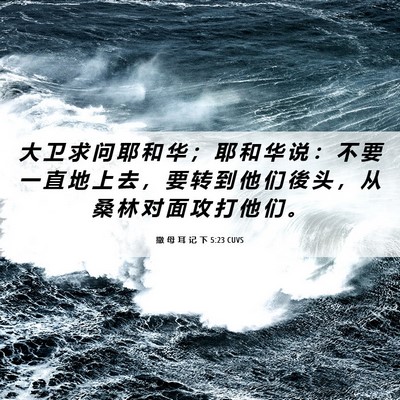 Picture 06 - 撒 母 耳 记 下 5:23 CUVS - 大 卫 求 问 耶 和 华 ； 耶 和 华 说 - Bible Verse Picture