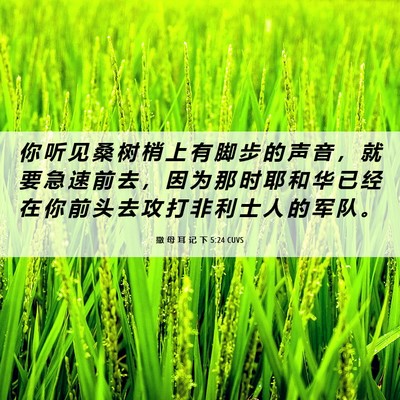 Picture 06 - 撒 母 耳 记 下 5:24 CUVS - 你 听 见 桑 树 梢 上 有 脚 步 的 声 - Bible Verse Picture