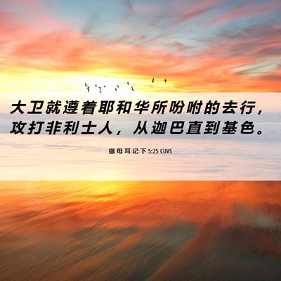 Picture 06 - 撒 母 耳 记 下 5:25 CUVS - 大 卫 就 遵 着 耶 和 华 所 吩 咐 的 - Bible Verse Picture