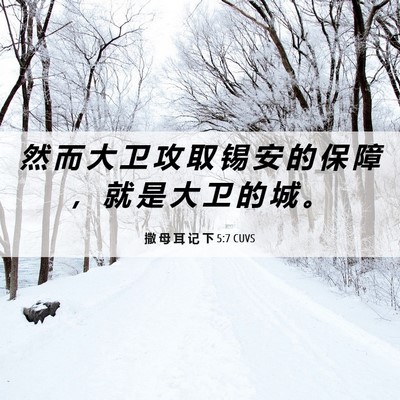 Picture 06 - 撒 母 耳 记 下 5:7 CUVS - 然 而 大 卫 攻 取 锡 安 的 保 障 ， - Bible Verse Picture