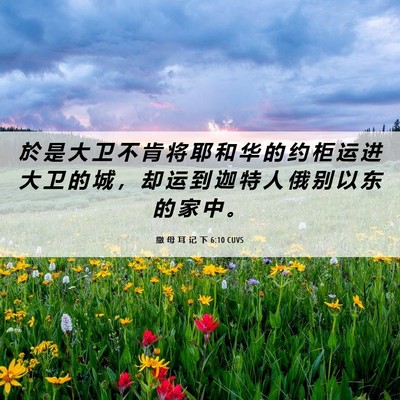 Picture 06 - 撒 母 耳 记 下 6:10 CUVS - 於 是 大 卫 不 肯 将 耶 和 华 的 约 - Bible Verse Picture