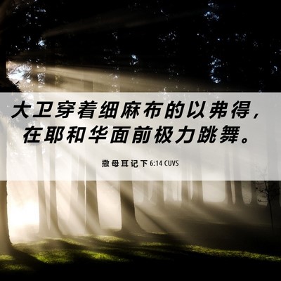 Picture 06 - 撒 母 耳 记 下 6:14 CUVS - 大 卫 穿 着 细 麻 布 的 以 弗 得 ， - Bible Verse Picture