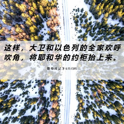 Picture 06 - 撒 母 耳 记 下 6:15 CUVS - 这 样 ， 大 卫 和 以 色 列 的 全 家 - Bible Verse Picture