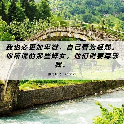 Picture 06 - 撒 母 耳 记 下 6:22 CUVS - 我 也 必 更 加 卑 微 ， 自 己 看 为 - Bible Verse Picture