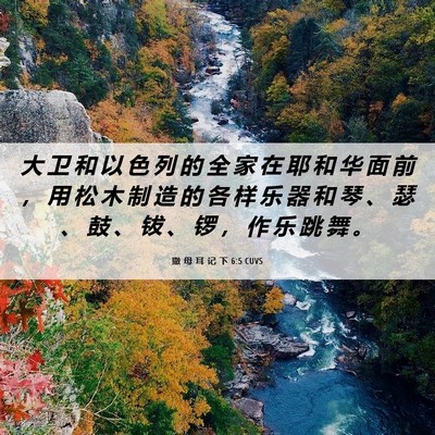 Picture 06 - 撒 母 耳 记 下 6:5 CUVS - 大 卫 和 以 色 列 的 全 家 在 耶 和 - Bible Verse Picture