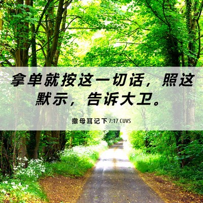 Picture 06 - 撒 母 耳 记 下 7:17 CUVS - 拿 单 就 按 这 一 切 话 ， 照 这 默 - Bible Verse Picture