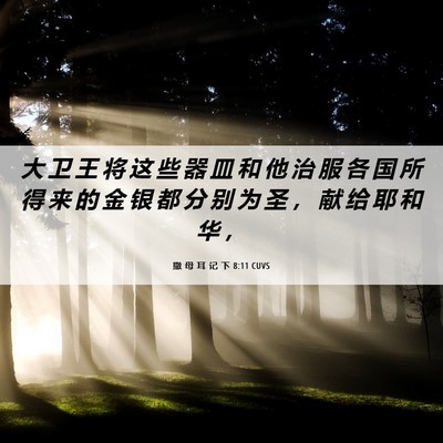 Picture 06 - 撒 母 耳 记 下 8:11 CUVS - 大 卫 王 将 这 些 器 皿 和 他 治 服 - Bible Verse Picture