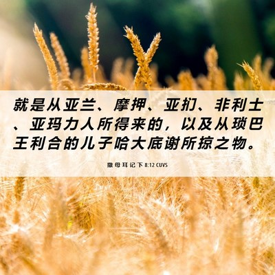 Picture 06 - 撒 母 耳 记 下 8:12 CUVS - 就 是 从 亚 兰 、 摩 押 、 亚 扪 、 - Bible Verse Picture