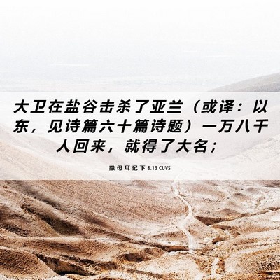 Picture 06 - 撒 母 耳 记 下 8:13 CUVS - 大 卫 在 盐 谷 击 杀 了 亚 兰 （ 或 - Bible Verse Picture