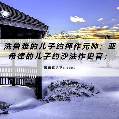 Picture 06 - 撒 母 耳 记 下 8:16 CUVS - 洗 鲁 雅 的 儿 子 约 押 作 元 帅 ； - Bible Verse Picture