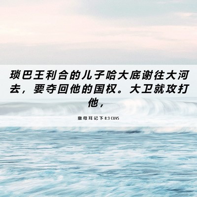 Picture 06 - 撒 母 耳 记 下 8:3 CUVS - 琐 巴 王 利 合 的 儿 子 哈 大 底 谢 - Bible Verse Picture