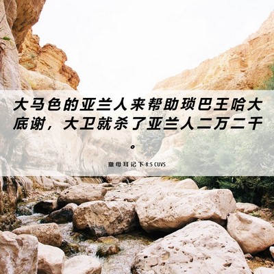Picture 06 - 撒 母 耳 记 下 8:5 CUVS - 大 马 色 的 亚 兰 人 来 帮 助 琐 巴 - Bible Verse Picture