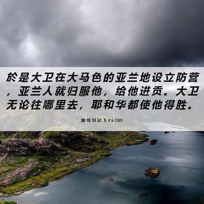 Picture 06 - 撒 母 耳 记 下 8:6 CUVS - 於 是 大 卫 在 大 马 色 的 亚 兰 地 - Bible Verse Picture
