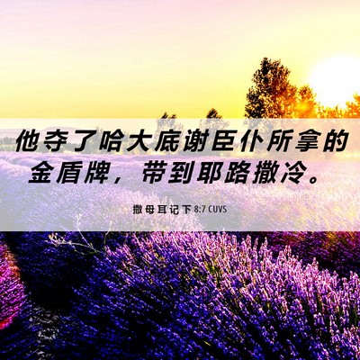 Picture 06 - 撒 母 耳 记 下 8:7 CUVS - 他 夺 了 哈 大 底 谢 臣 仆 所 拿 的 - Bible Verse Picture