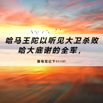 Picture 06 - 撒 母 耳 记 下 8:9 CUVS - 哈 马 王 陀 以 听 见 大 卫 杀 败 哈 - Bible Verse Picture