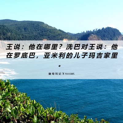 Picture 06 - 撒 母 耳 记 下 9:4 CUVS - 王 说 ： 他 在 哪 里 ？ 洗 巴 对 王 - Bible Verse Picture
