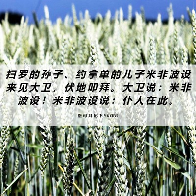 Picture 06 - 撒 母 耳 记 下 9:6 CUVS - 扫 罗 的 孙 子 、 约 拿 单 的 儿 子 - Bible Verse Picture
