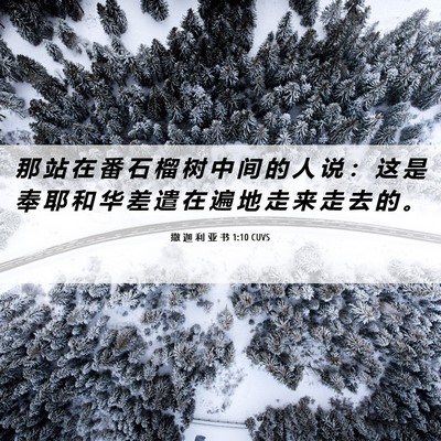 Picture 06 - 撒 迦 利 亚 书 1:10 CUVS - 那 站 在 番 石 榴 树 中 间 的 人 说 - Bible Verse Picture