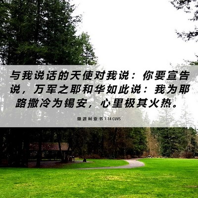 Picture 06 - 撒 迦 利 亚 书 1:14 CUVS - 与 我 说 话 的 天 使 对 我 说 ： 你 - Bible Verse Picture