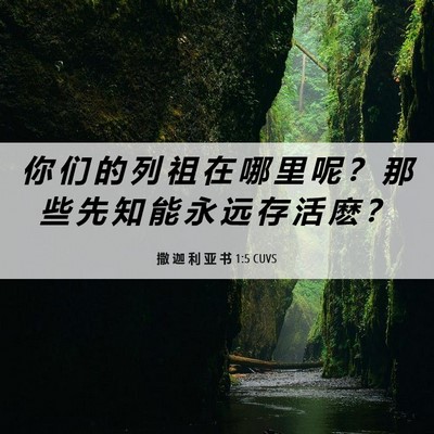 Picture 06 - 撒 迦 利 亚 书 1:5 CUVS - 你 们 的 列 祖 在 哪 里 呢 ？ 那 些 - Bible Verse Picture