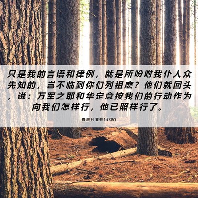 Picture 06 - 撒 迦 利 亚 书 1:6 CUVS - 只 是 我 的 言 语 和 律 例 ， 就 是 - Bible Verse Picture