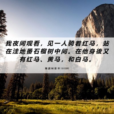 Picture 06 - 撒 迦 利 亚 书 1:8 CUVS - 我 夜 间 观 看 ， 见 一 人 骑 着 红 - Bible Verse Picture