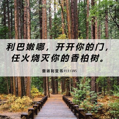Picture 06 - 撒 迦 利 亚 书 11:1 CUVS - 利 巴 嫩 哪 ， 开 开 你 的 门 ， 任 - Bible Verse Picture