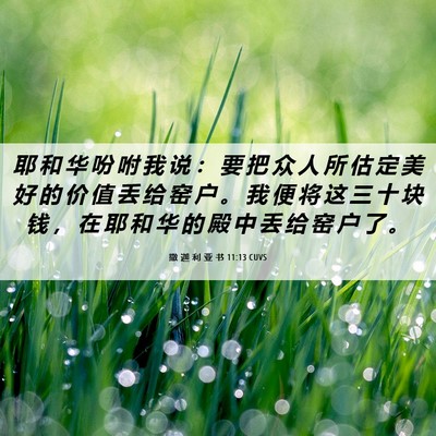 Picture 06 - 撒 迦 利 亚 书 11:13 CUVS - 耶 和 华 吩 咐 我 说 ： 要 把 众 人 - Bible Verse Picture