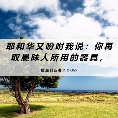 Picture 06 - 撒 迦 利 亚 书 11:15 CUVS - 耶 和 华 又 吩 咐 我 说 ： 你 再 取 - Bible Verse Picture