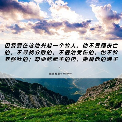 Picture 06 - 撒 迦 利 亚 书 11:16 CUVS - 因 我 要 在 这 地 兴 起 一 个 牧 人 - Bible Verse Picture