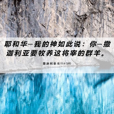 Picture 06 - 撒 迦 利 亚 书 11:4 CUVS - 耶 和 华 ─ 我 的 神 如 此 说 ： 你 - Bible Verse Picture