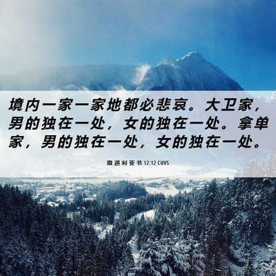 Picture 06 - 撒 迦 利 亚 书 12:12 CUVS - 境 内 一 家 一 家 地 都 必 悲 哀 。 - Bible Verse Picture