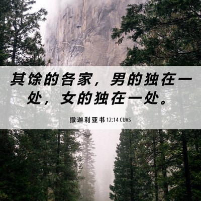 Picture 06 - 撒 迦 利 亚 书 12:14 CUVS - 其 馀 的 各 家 ， 男 的 独 在 一 处 - Bible Verse Picture