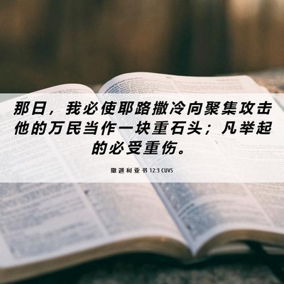 Picture 06 - 撒 迦 利 亚 书 12:3 CUVS - 那 日 ， 我 必 使 耶 路 撒 冷 向 聚 - Bible Verse Picture
