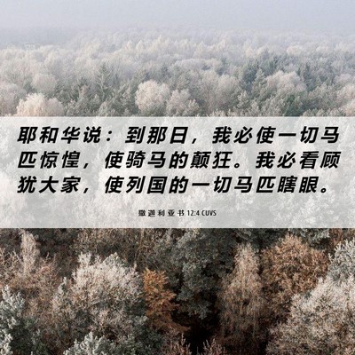 Picture 06 - 撒 迦 利 亚 书 12:4 CUVS - 耶 和 华 说 ： 到 那 日 ， 我 必 使 - Bible Verse Picture