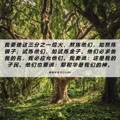 Picture 06 - 撒 迦 利 亚 书 13:9 CUVS - 我 要 使 这 三 分 之 一 经 火 ， 熬 - Bible Verse Picture