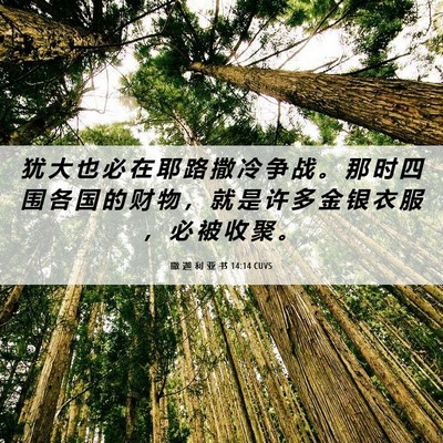 Picture 06 - 撒 迦 利 亚 书 14:14 CUVS - 犹 大 也 必 在 耶 路 撒 冷 争 战 。 - Bible Verse Picture