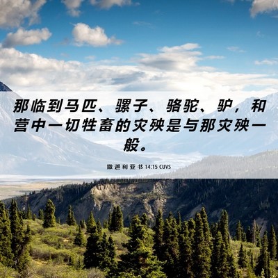 Picture 06 - 撒 迦 利 亚 书 14:15 CUVS - 那 临 到 马 匹 、 骡 子 、 骆 驼 、 - Bible Verse Picture